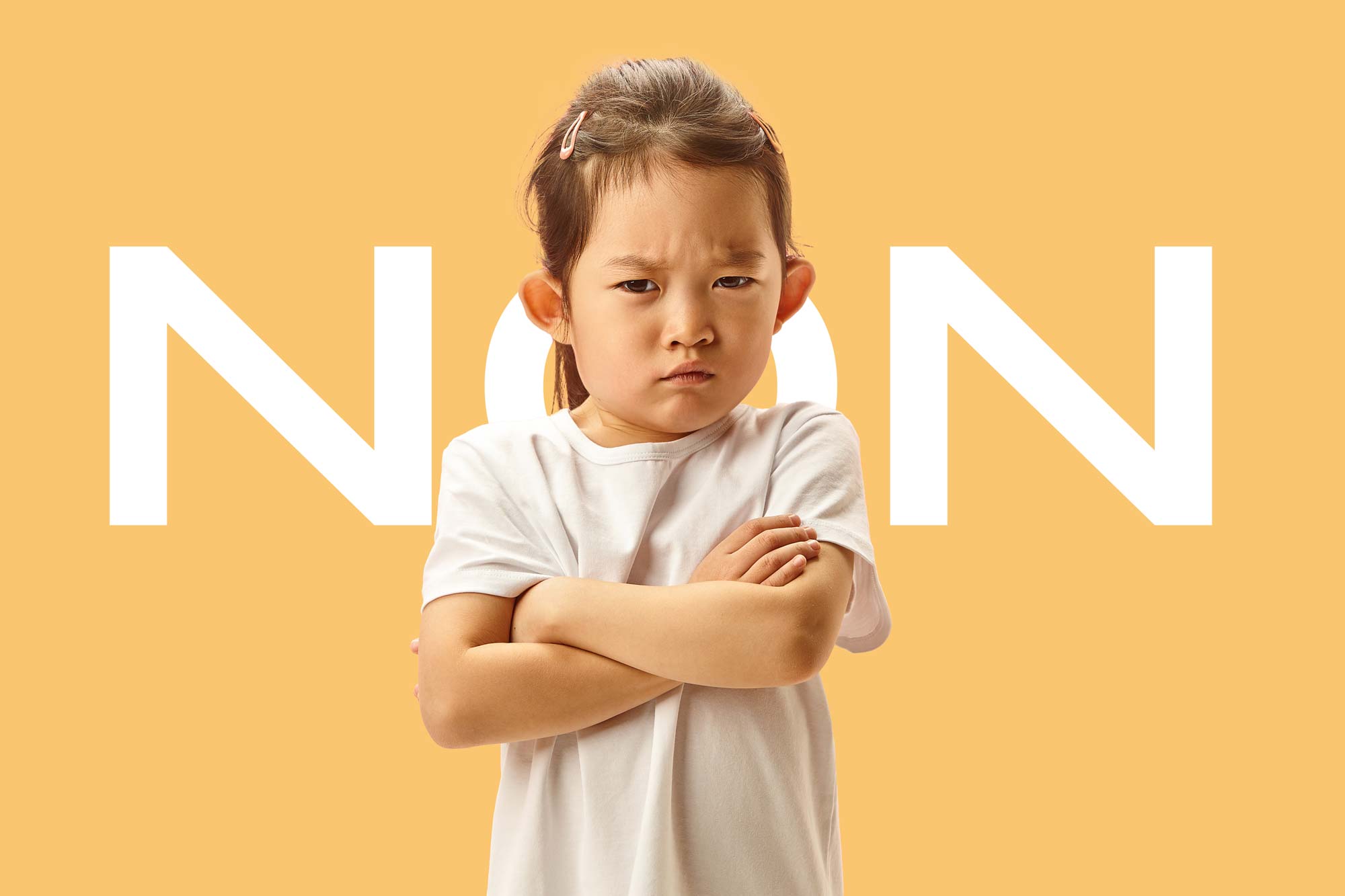 Article – Les raisons derrière le NON