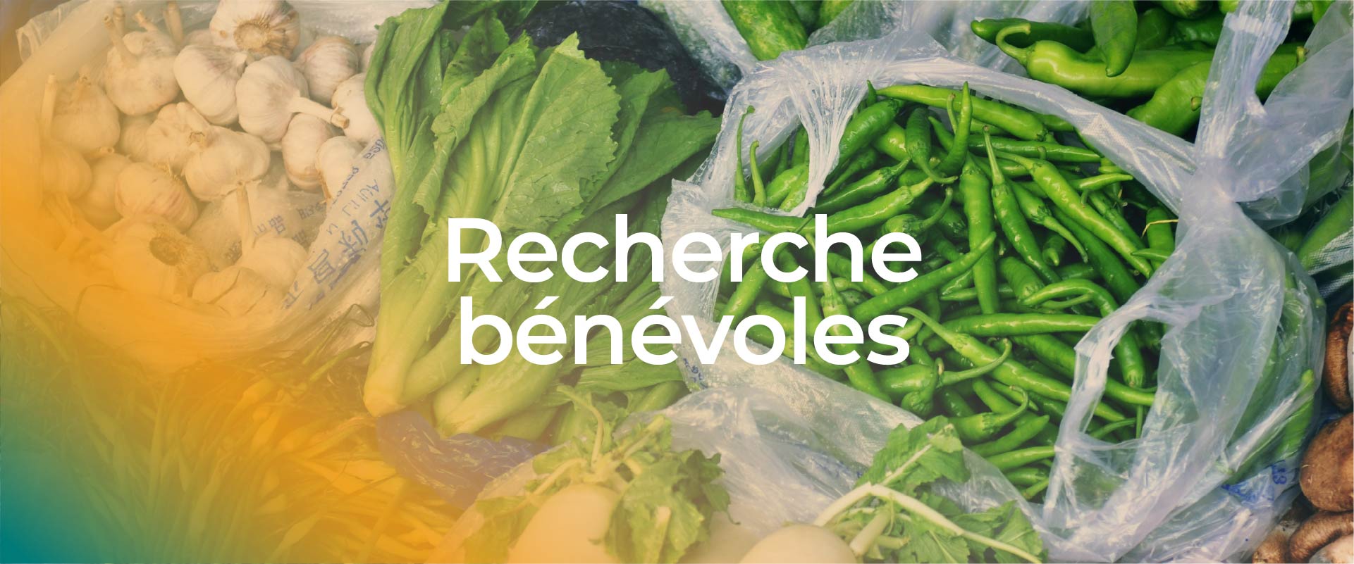 Appel de bénévoles (automne) | Journées d’emballage en épicerie à Baie-Comeau